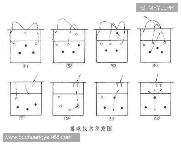 南京排球队进攻表现分析与战术调整建议探讨