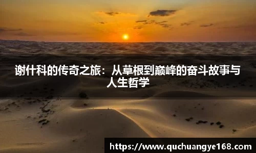 牛8体育官网